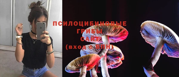 стаф Семёнов