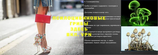 прущая мука Снежинск