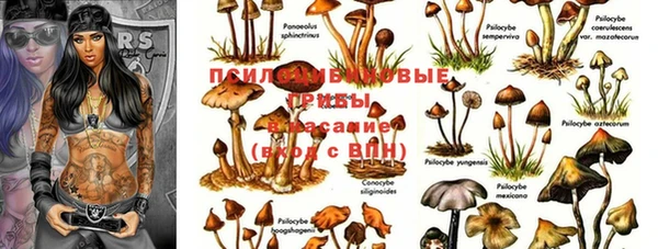 МДПВ Новокубанск