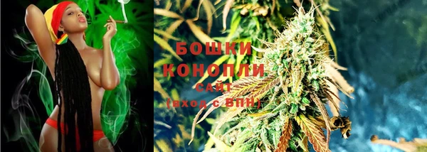 прущая мука Няндома
