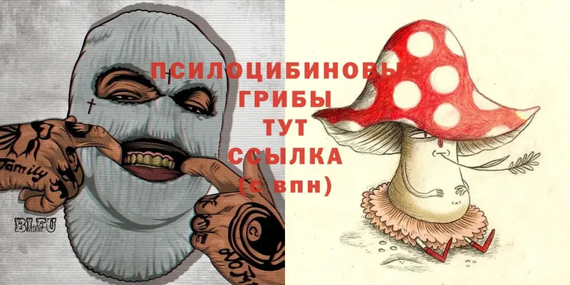 Галлюциногенные грибы Cubensis  Кинель 