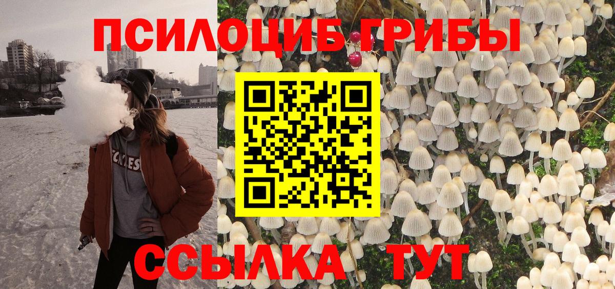 Псилоцибиновые грибы Cubensis Кинель