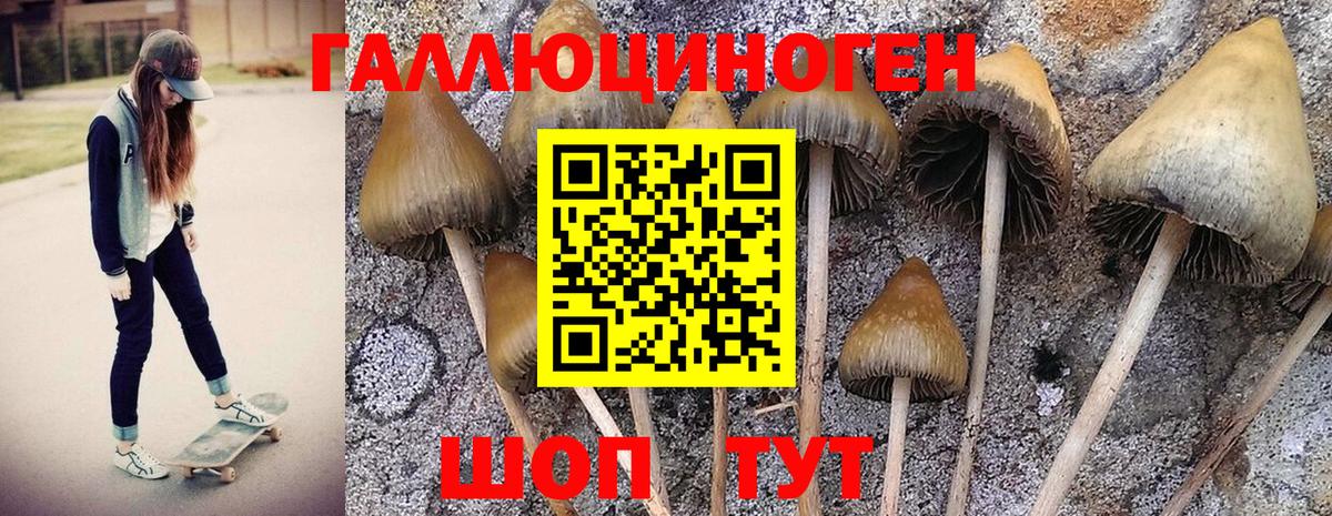 Галлюциногенные грибы Magic Shrooms Кинель